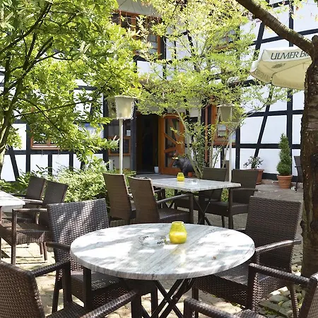Landgasthof Napoleon 3* ライナウ